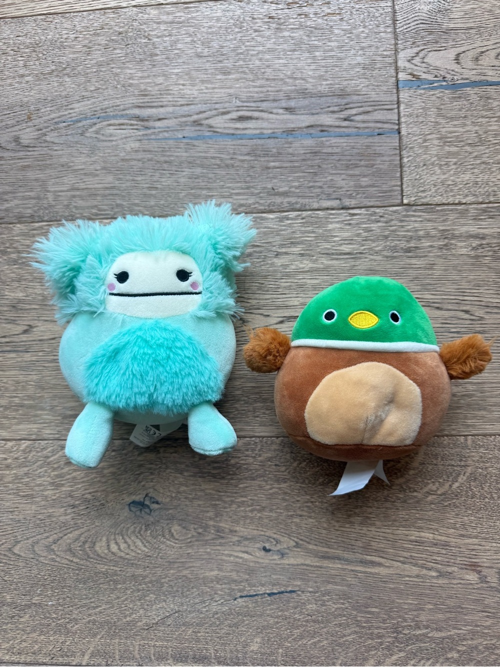 Squishmallows Joelle & Avery Duo
